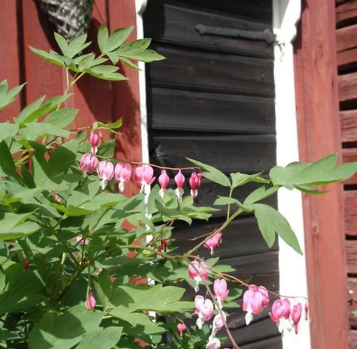 度假居 1800联排别墅度假屋 *